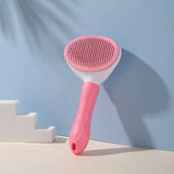 image_1