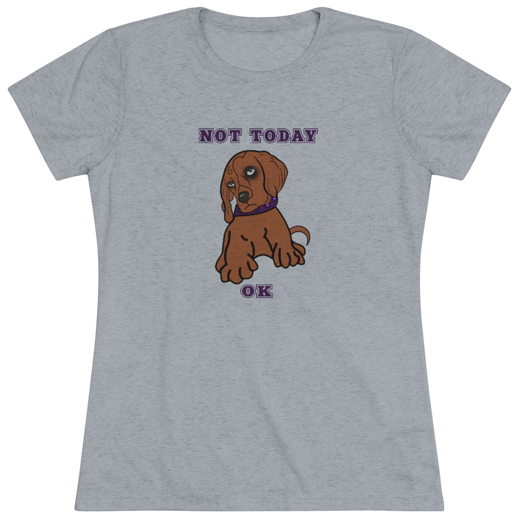 Not Today Doggy T-Shirt
