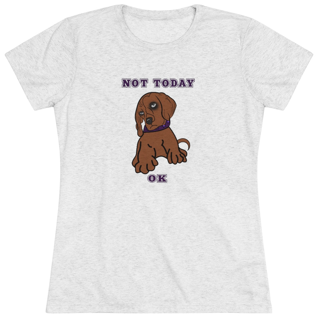 Not Today Doggy T-Shirt