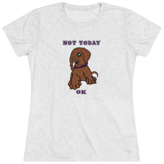 Not Today Doggy T-Shirt