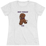 Not Today Doggy T-Shirt