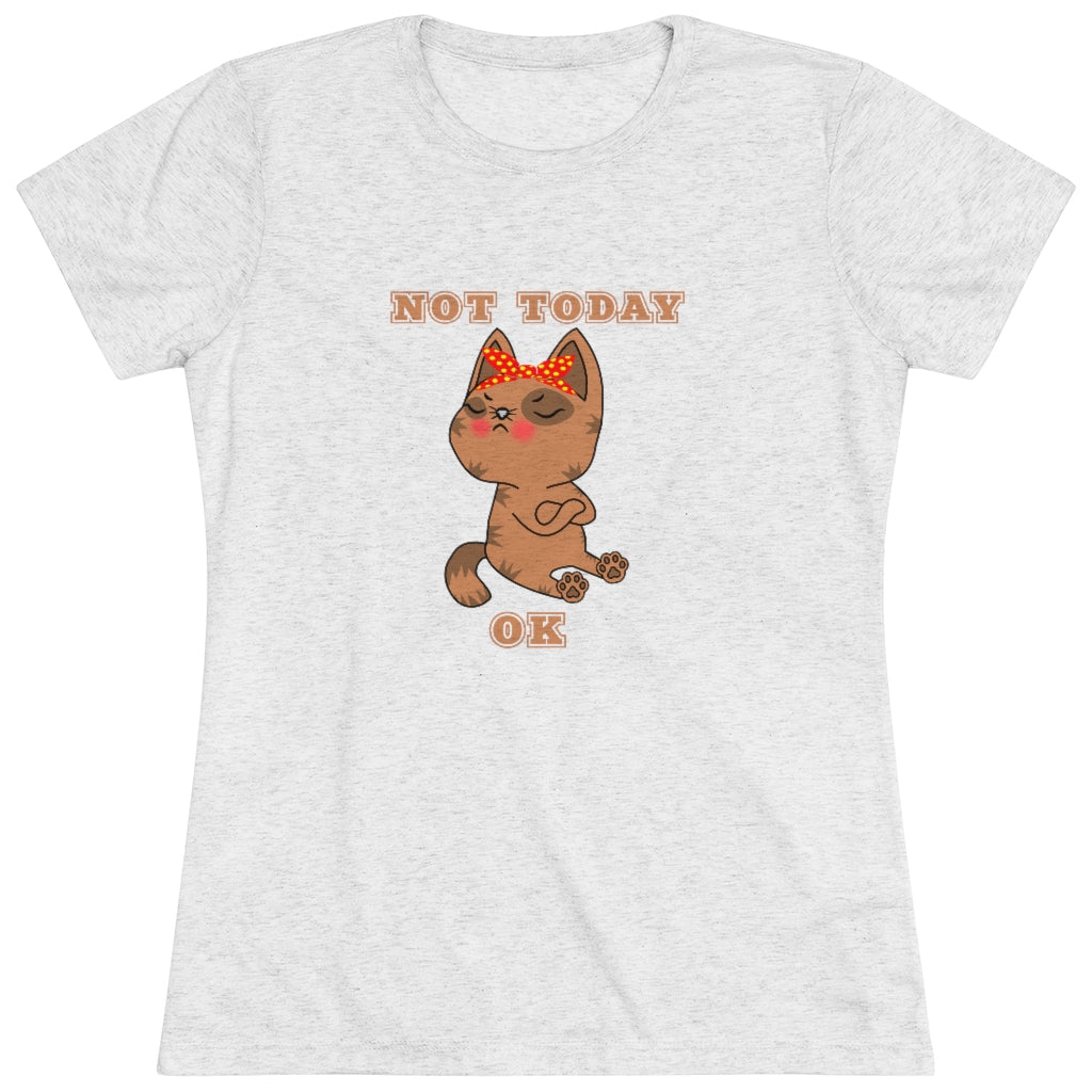 Not Today Kitty T-Shirt