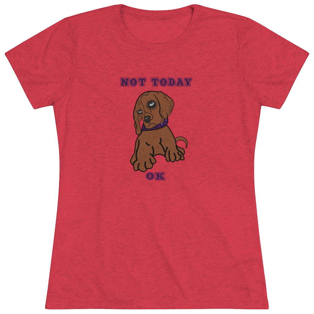 Not Today Doggy T-Shirt
