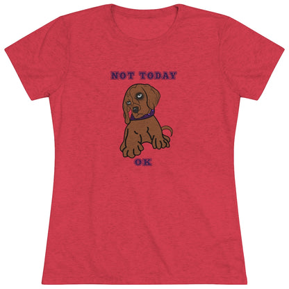 Not Today Doggy T-Shirt