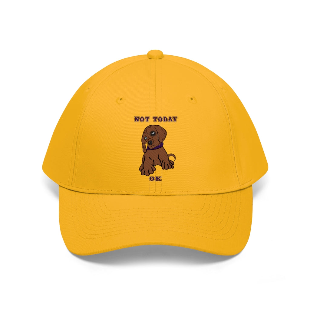 Not Today Twill Hat