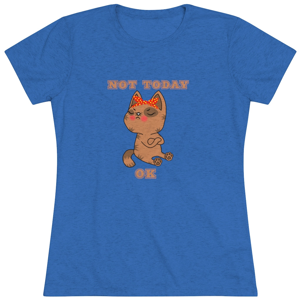 Not Today Kitty T-Shirt