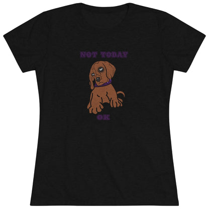 Not Today Doggy T-Shirt