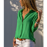 Chiffon Multi Color Button Up Blouse