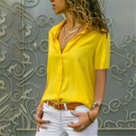 Chiffon Multi Color Button Up Blouse