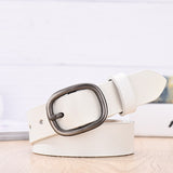 Multi-Color Casual Dress Belt