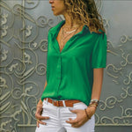 Chiffon Multi Color Button Up Blouse