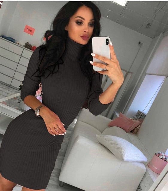 Turtleneck Sweater Dress
