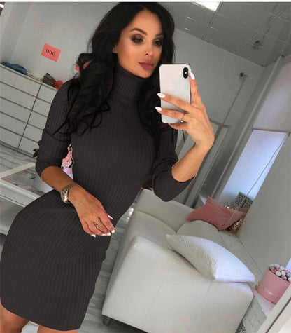 Turtleneck Sweater Dress
