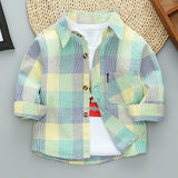 Plaid Long Sleeve Shirt