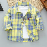 Plaid Long Sleeve Shirt