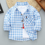 Plaid Long Sleeve Shirt