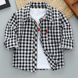 Plaid Long Sleeve Shirt