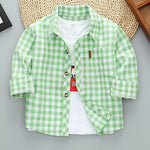 Plaid Long Sleeve Shirt