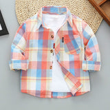 Plaid Long Sleeve Shirt