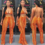 Multicolor Transparent Mesh Design Bikini Pants Set