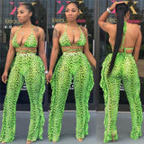 Multicolor Transparent Mesh Design Bikini Pants Set