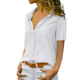 Work Wear Solid Short Sleeve Chiffon Blouse