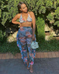 Multicolor Transparent Mesh Design Bikini Pants Set