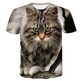Cat Print Short Sleeve T-Shirt