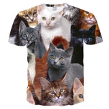Cat Print Short Sleeve T-Shirt