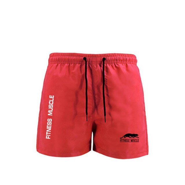 Men's Swim Trunks Quick Dry Beach Shorts