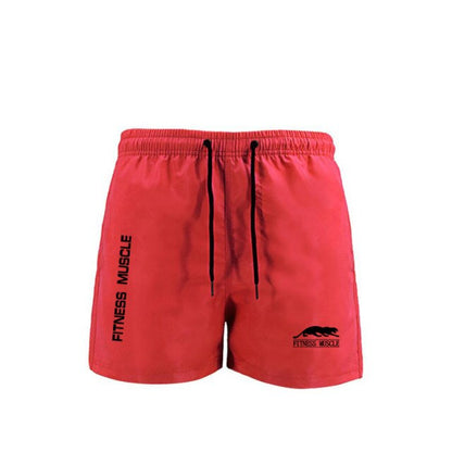 Men's Swim Trunks Quick Dry Beach Shorts