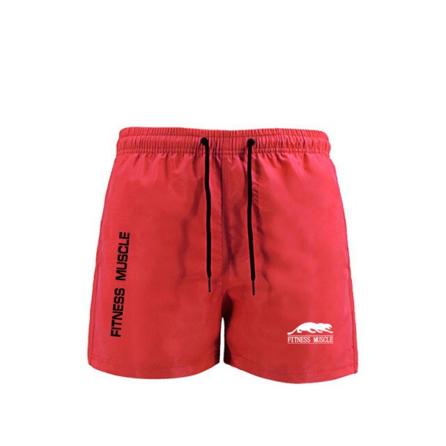 Men's Swim Trunks Quick Dry Beach Shorts
