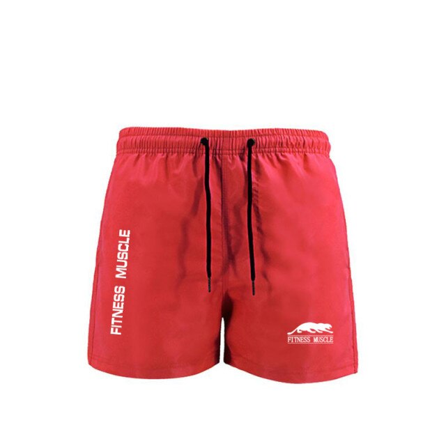 Men's Swim Trunks Quick Dry Beach Shorts